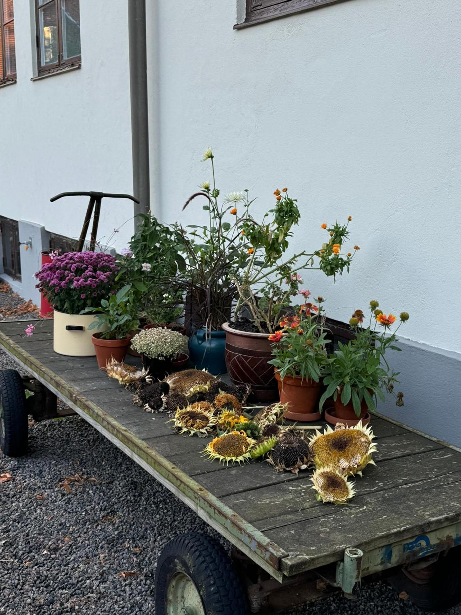Stf Landskrona Hostel エクステリア 写真